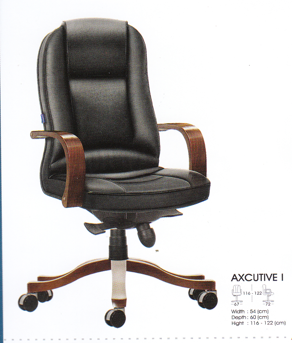 Director Series - Axcutive I