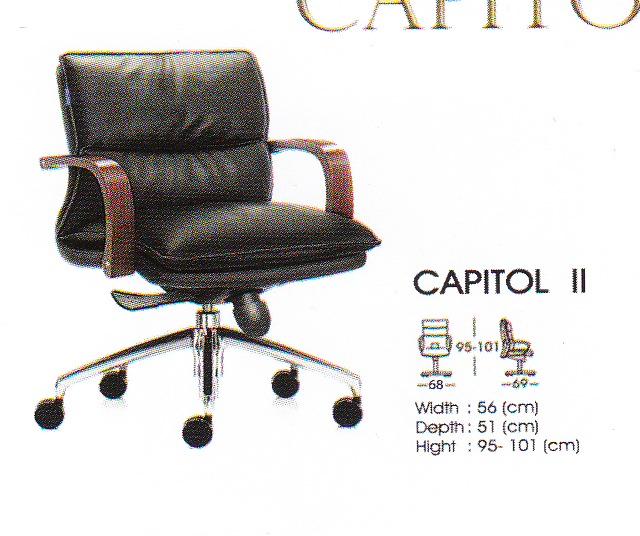 Director Series - Capitol II