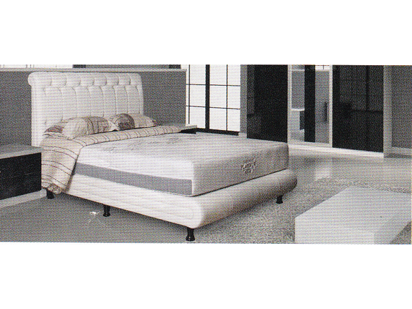 Health Series - Chiropedic Platinum