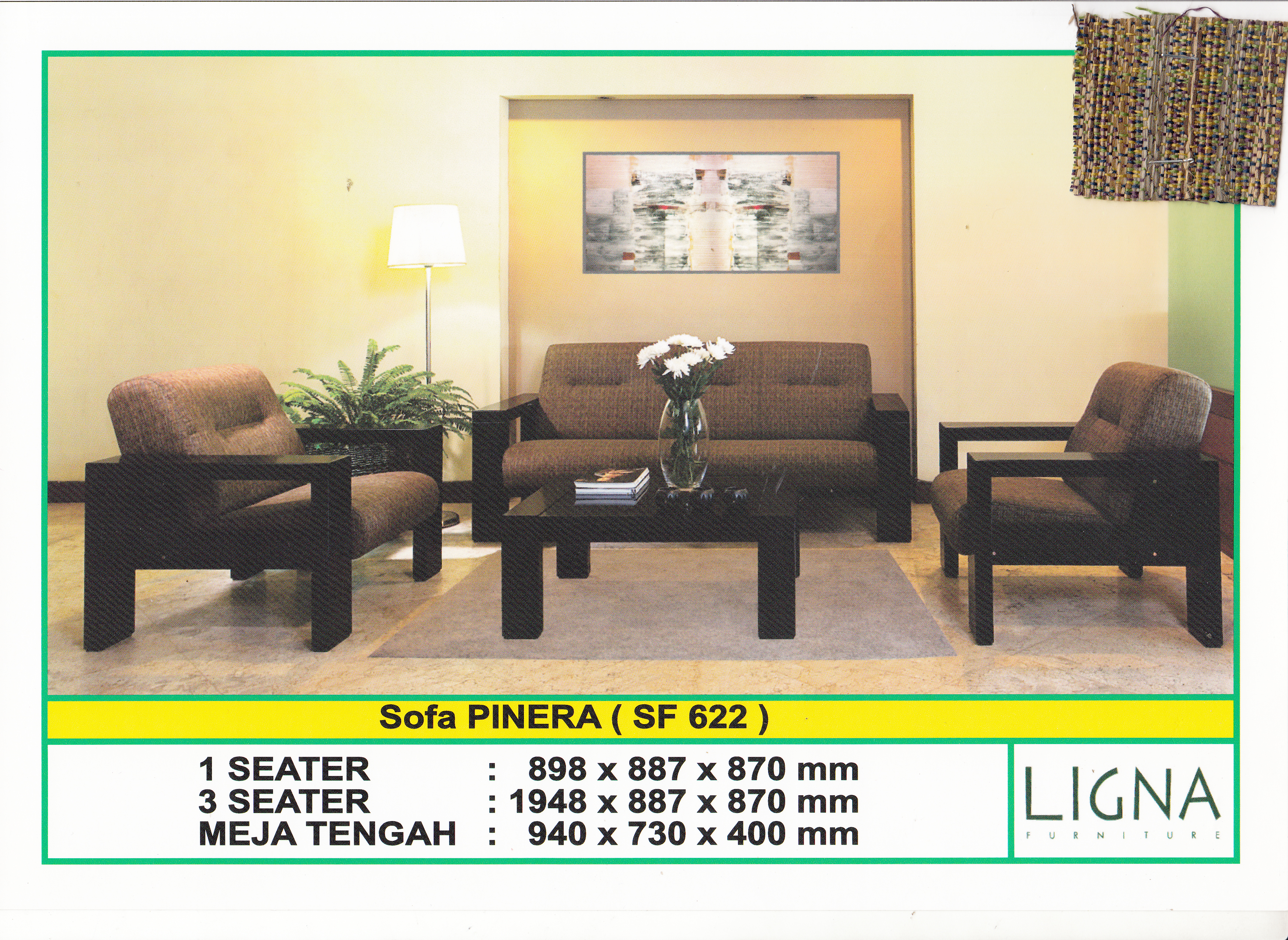 PINERA 3-1-1