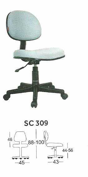 Secretary Series - SC 309