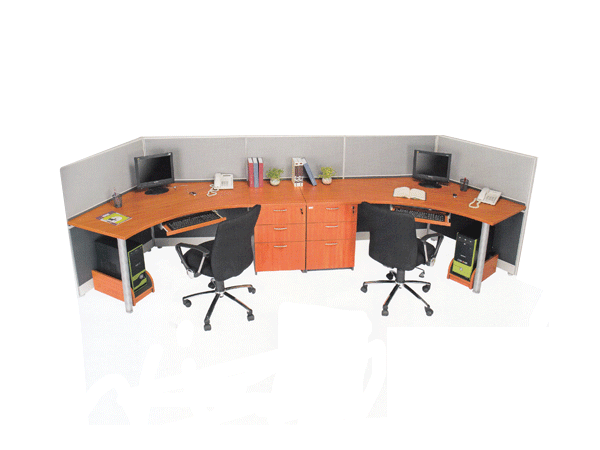 Workstation - Linus 2