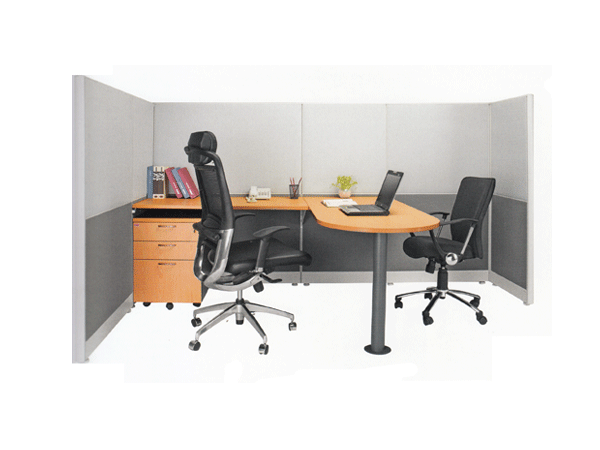 Workstation - Linus 4